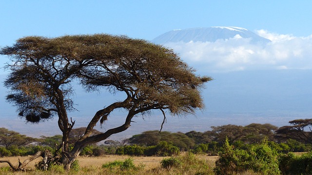 tanzanie-kilimanjaro