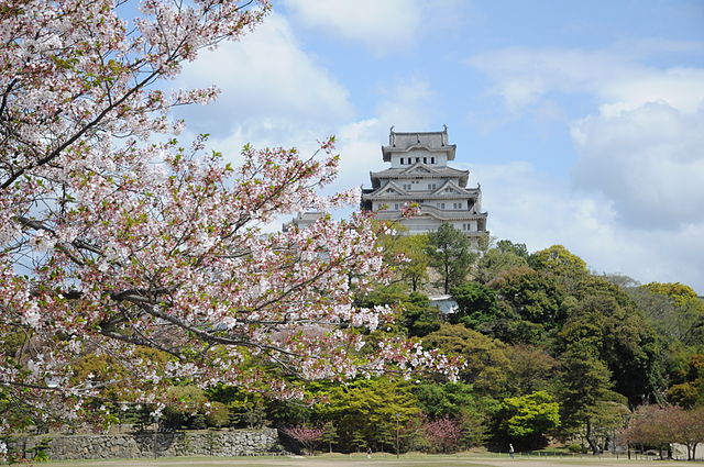 Château d'Himeji au Japon, cerisiers en fleurs